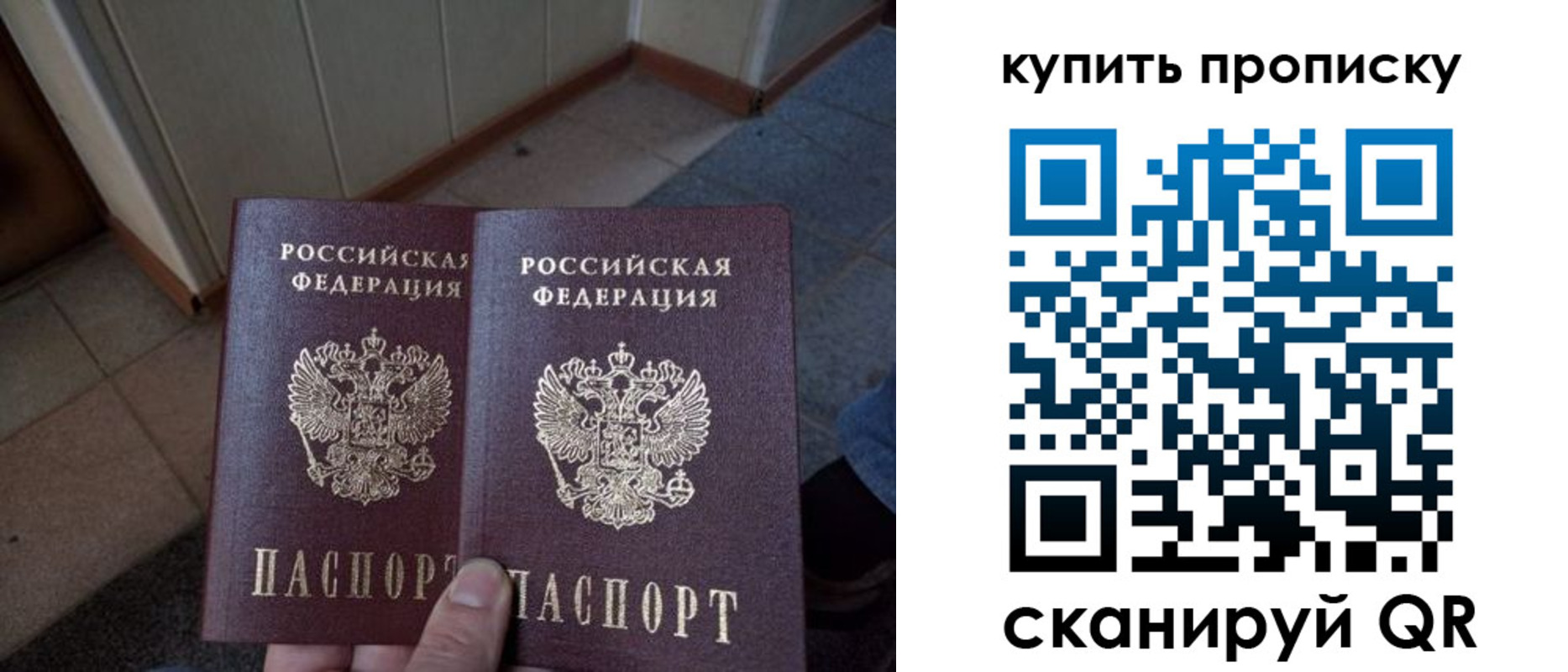 регистрация для школы в Апатитах