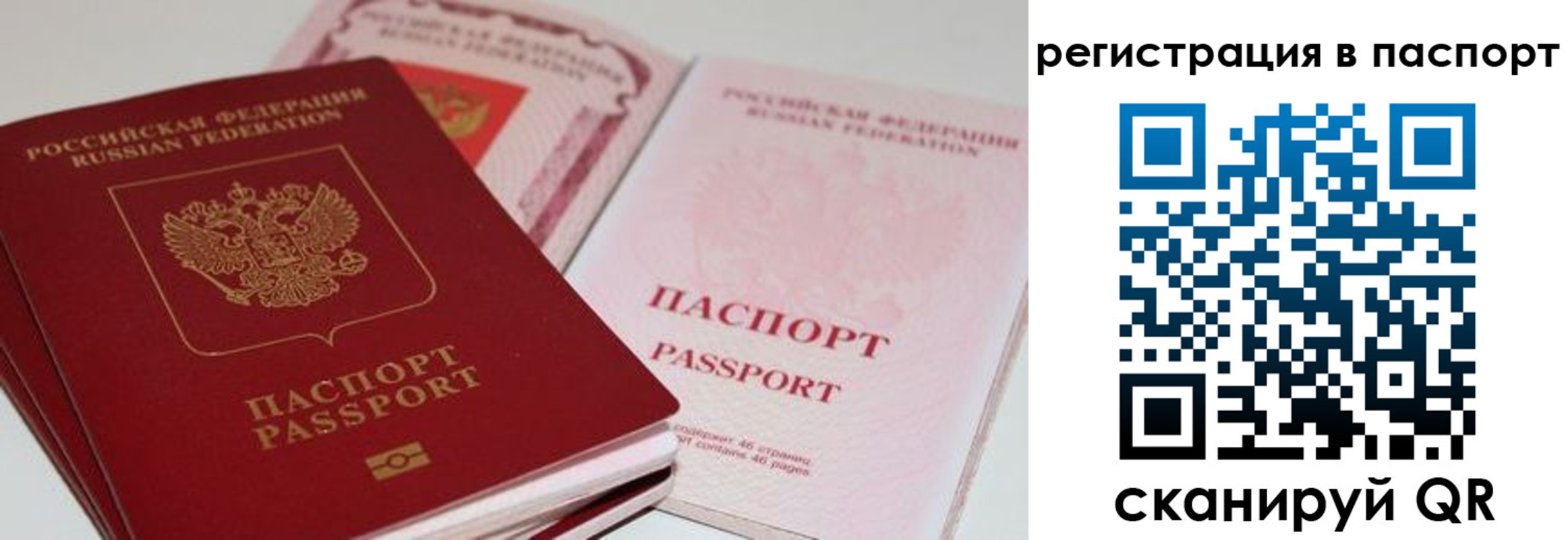 временная регистрация недорого в Апатитах
